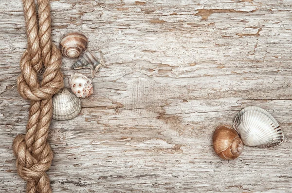 Corde à bateau, coquilles et ancienne bordure en bois — Photo