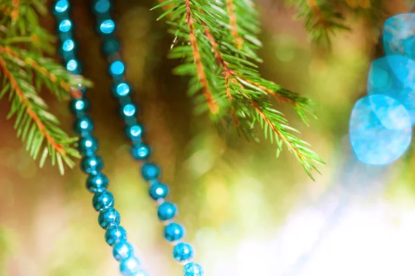 モミの枝とのクリスマスの装飾 — ストック写真