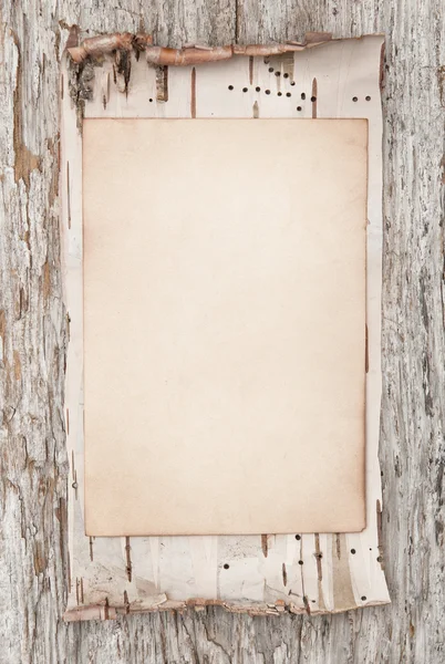 Eski ahşap üzerine yaşlı kağıt ve Huş kabuğu — Stok fotoğraf