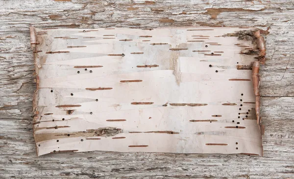 Birch bark on the old wood — Stock Photo, Image