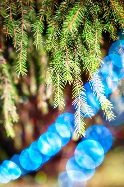 Christmas decoration on the fir branch — Stock Photo, Image