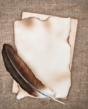 yaşlı kağıt arka plan çuval bezi üzerinde tüy ile