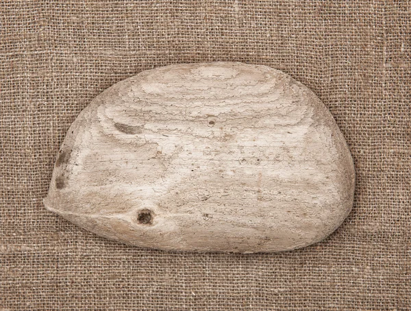 Pedaço de madeira velha no fundo da serapilheira — Fotografia de Stock