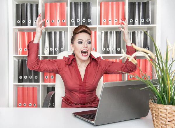 Mujer de negocios ganadora — Foto de Stock