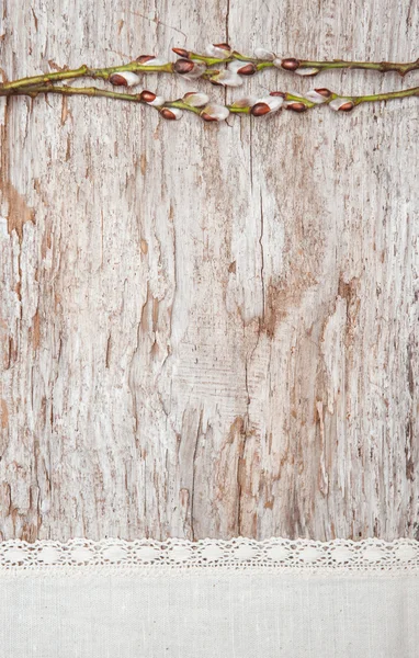 Pasen decoratie met katjes en linnen stof op oud hout — Stockfoto