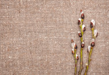 Paskalya dekorasyon ile arka plan çuval bezi üzerinde kedicikler