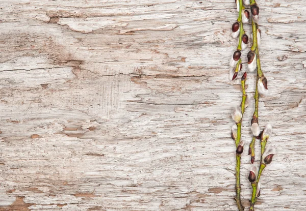 Påsk dekoration med hanblommor på gammalt trä — Stockfoto