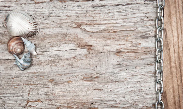 Cadeia de metal e conchas na madeira velha — Fotografia de Stock