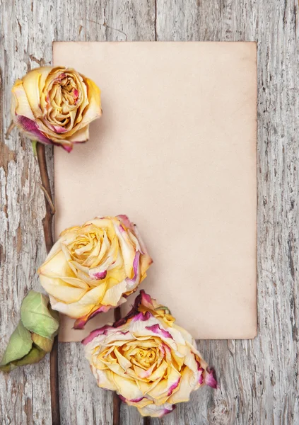 Rosas secas e papel na madeira velha — Fotografia de Stock