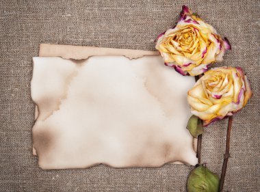 Kuru güller ve yaşlı kağıt üzerine çuval bezi