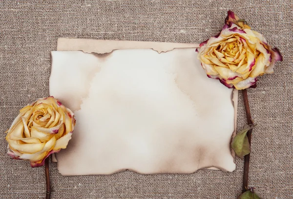 Rosas secas e papel envelhecido na serapilheira — Fotografia de Stock