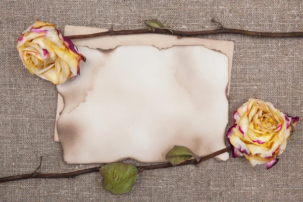 Сухие розы и старая бумага на мешковине — стоковое фото