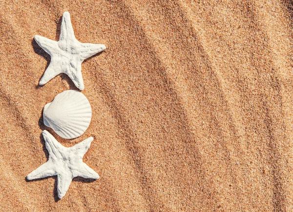 Sheet of paper and seashells on the sand — Stock Photo, Image