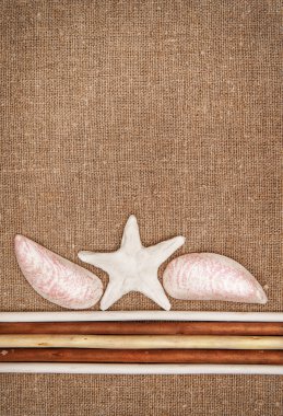 tahta sopa ve kabukları ile çuval bezi keten