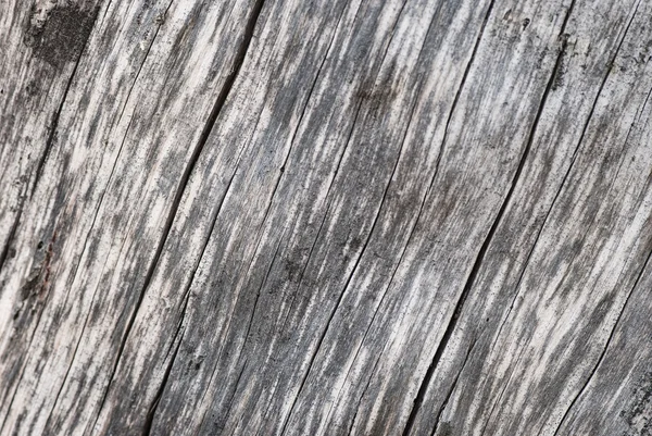 Old wood texture — Stock Photo, Image