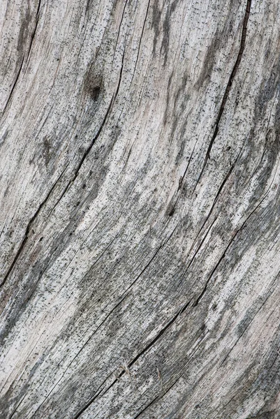 Old wood texture — Stock Photo, Image