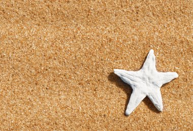 Kumdaki deniz kabuğu