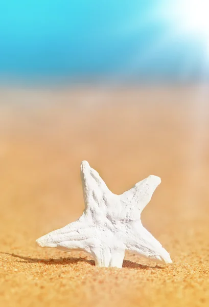 Seashell in het zand en de zee — Stockfoto