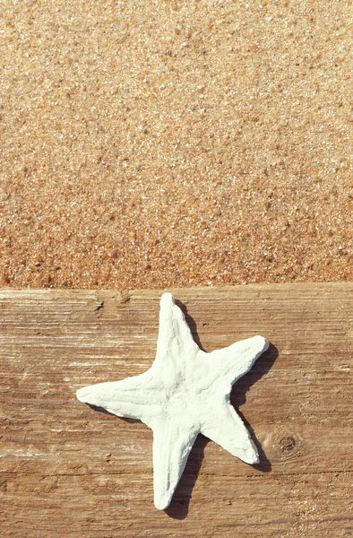老木与贝壳在沙滩上 — 图库照片