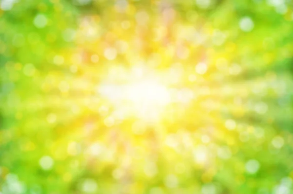Абстрактный летний фон с солнечным светом — стоковое фото