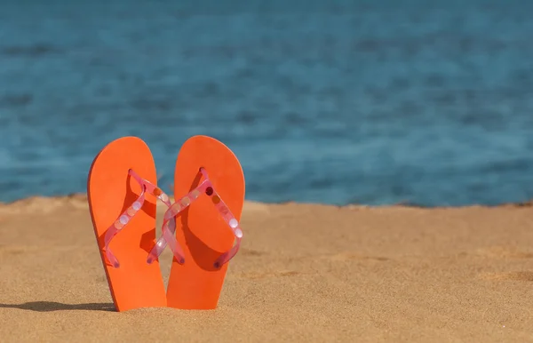 Zapatillas en la playa — Foto de Stock