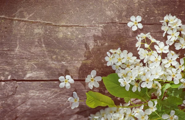 旧的木头上的白色的春天的花朵 — 图库照片