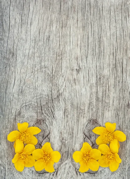 Flores amarelas na madeira velha — Fotografia de Stock