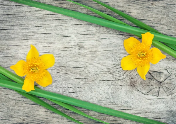 Sarı çiçek ve yeşil çimenlerin üzerinde eski ahşap — Stok fotoğraf