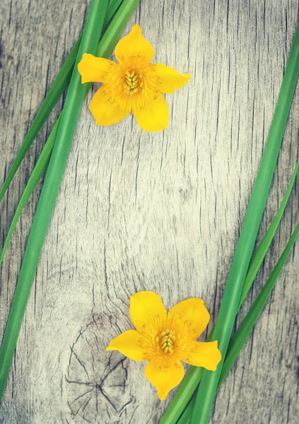 Sarı çiçek ve yeşil çimenlerin üzerinde eski ahşap — Stok fotoğraf
