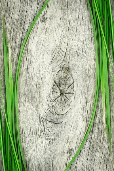 Erba verde sul vecchio legno — Foto Stock