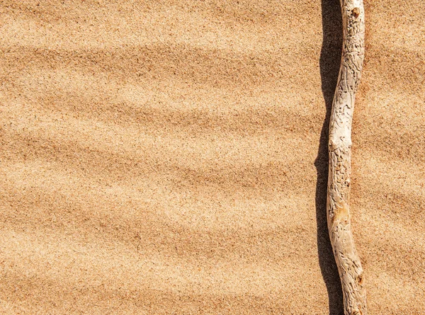 Dry branch on the sand — Stock Photo, Image