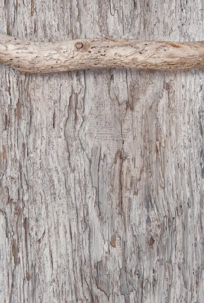 Dry branch on the old wood — Stock Photo, Image