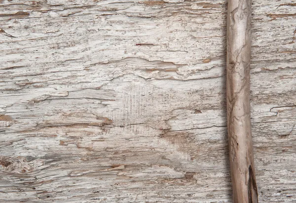 古い木材にドライ ブランチ — ストック写真