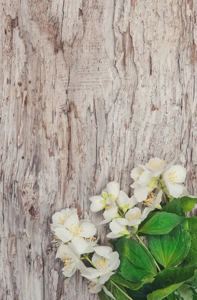Flores brancas na madeira velha — Fotografia de Stock