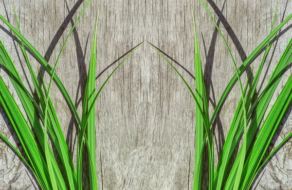Grünes Gras auf dem alten Holz — Stockfoto