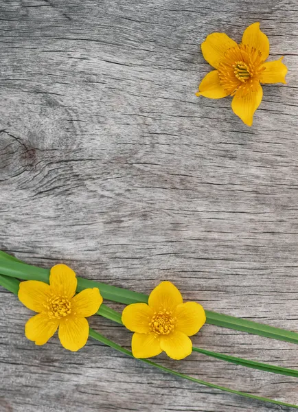 Gelbe Blumen und grünes Gras auf dem alten Holz — Stockfoto