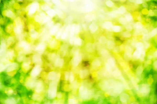 Abstract summer background with sunlight — Stock Photo, Image
