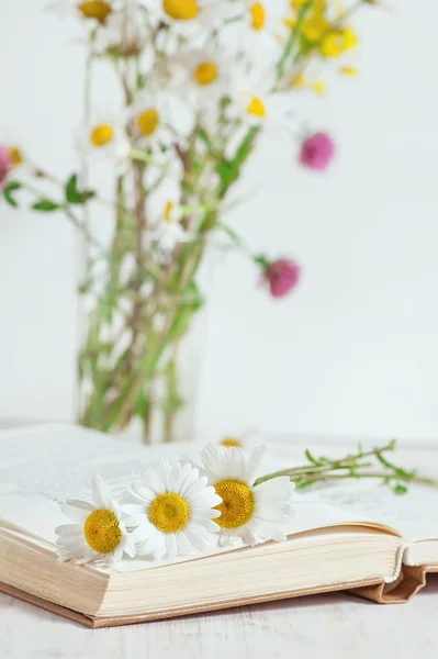Kamille bloemen in open boek — Stockfoto