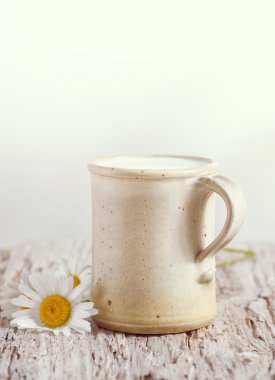 Seramik mug içinde taze süt