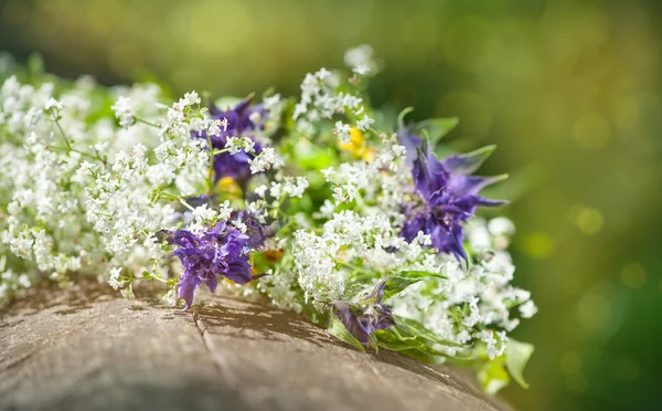 Lindas flores na madeira velha — Fotografia de Stock