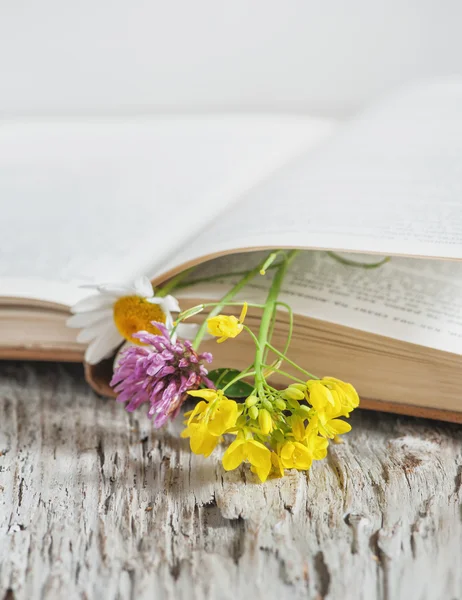 Bloemen in open boek — Stockfoto