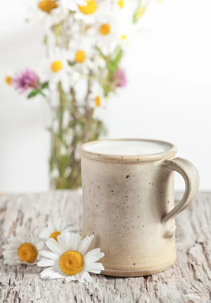 Świeże mleko w Kubek ceramiczny — Zdjęcie stockowe