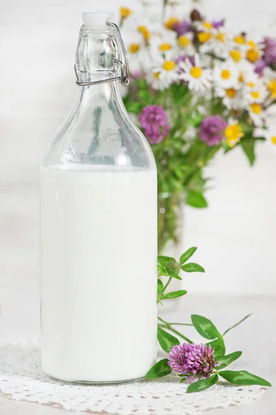 Leche fresca en botella pasada de moda y flores silvestres —  Fotos de Stock