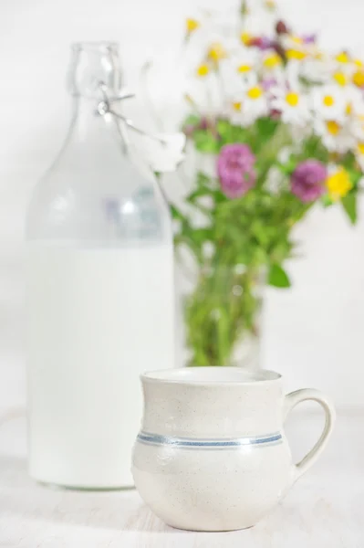 Świeże mleko w Kubek ceramiczny — Zdjęcie stockowe