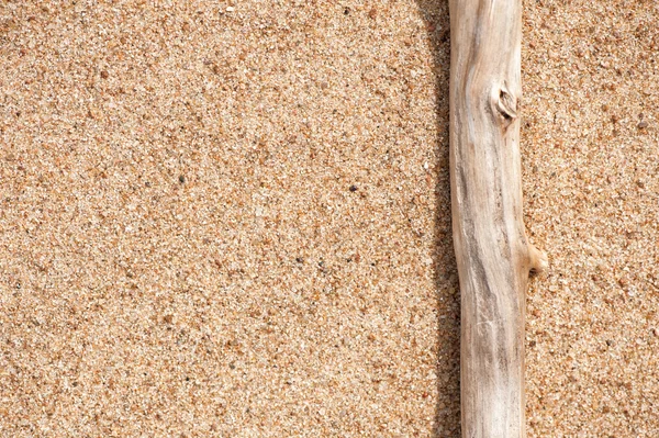 Trockener Ast auf dem Sand — Stockfoto