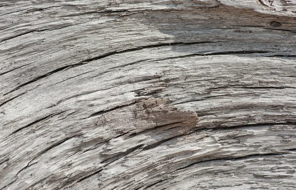 Tekstur Kayu Lama — Stok Foto