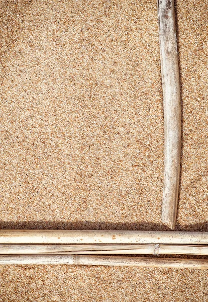 Kum üzerinde kuru dalları — Stok fotoğraf