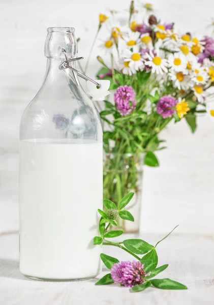 Leche fresca en botella pasada de moda y flores silvestres — Foto de Stock