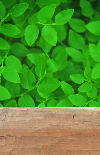 Leerer rustikaler Holztisch mit Grashintergrund — Stockfoto