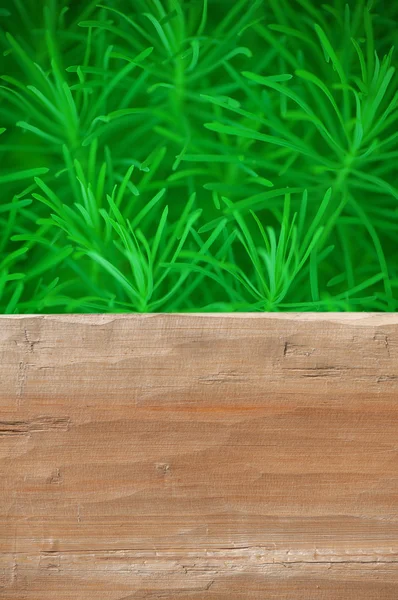 Empty rustic wooden table with grass background — Stock Photo, Image